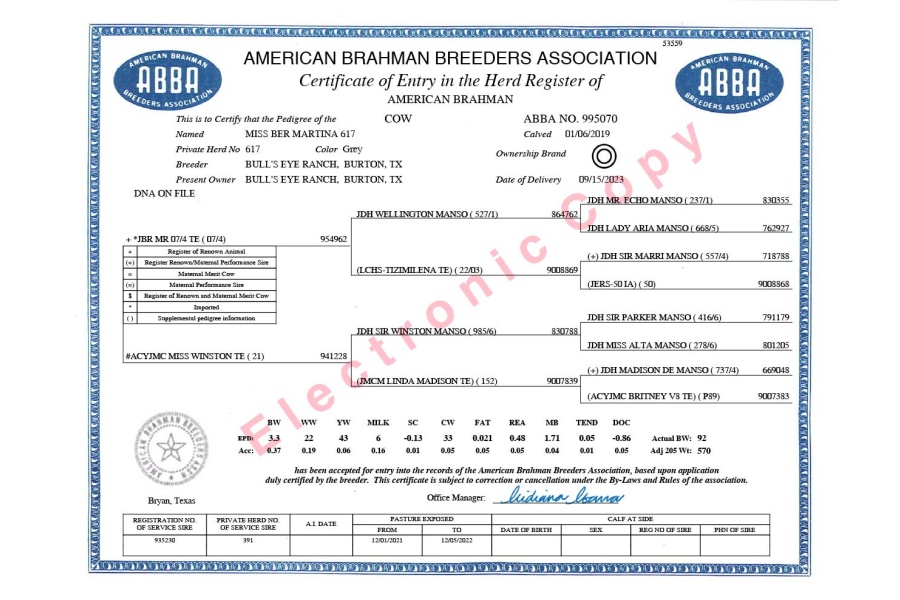 LOT 07 - MISS BER MARTINA 617 - IVF FLUSH