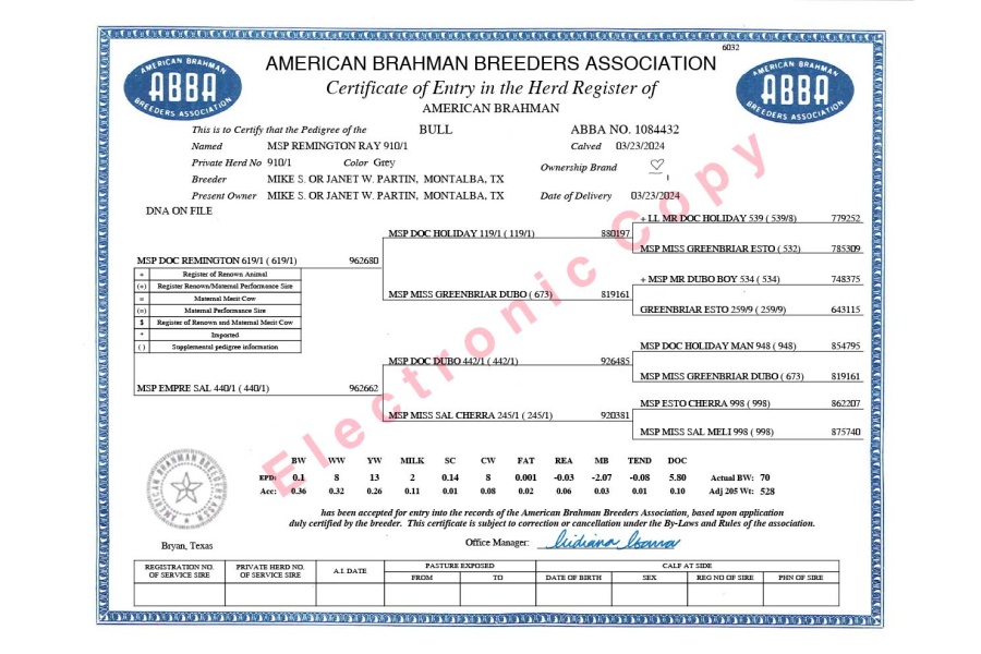 LOT 04 - MSP REMINGTON RAY 910/1