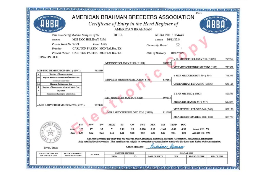 LOT 06 - MSP DOC HOLIDAY 925/1