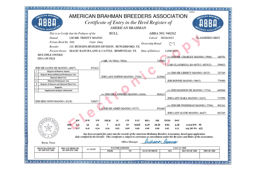 LM MR. TRINITY MANSO 5/01 SEMEN PACKAGE