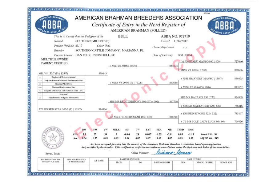 LOT 01 - 13 UNIT SEMEN PACKAGE