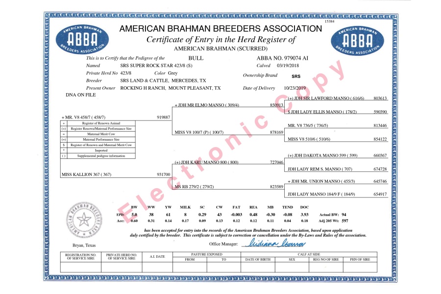 SRS SUPER ROCK STAR 423/8 (S) - CONVENTIONAL SEMEN - USA