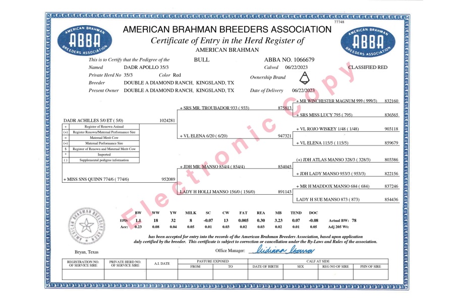 DADR APOLLO 35/3 - CONVENTIONAL SEMEN PACKAGE - USA ONLY