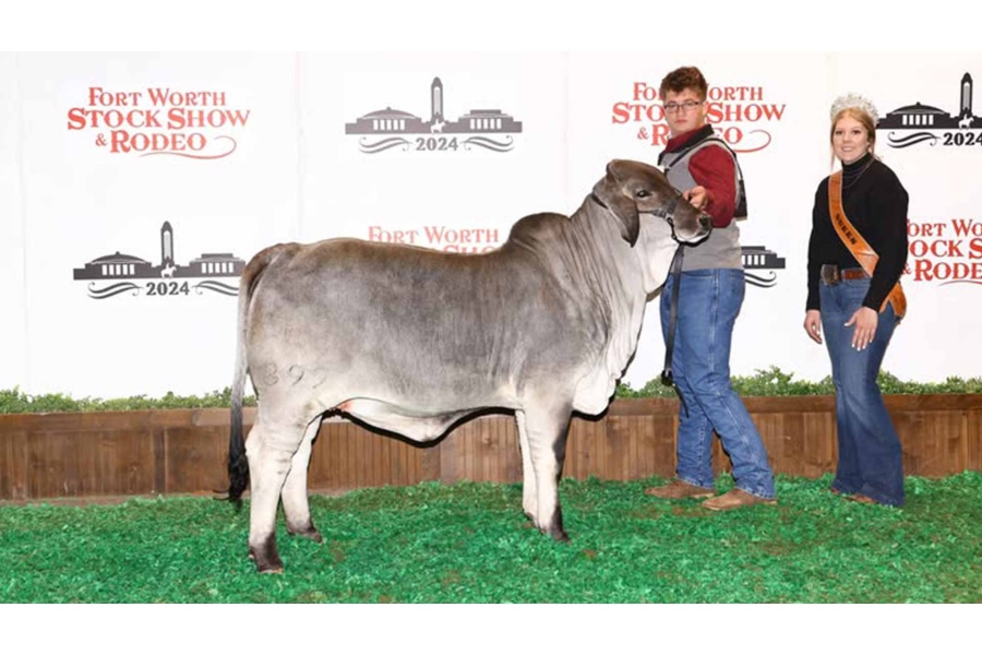 LOT 07 - BRC WALKIN ON SUNSHINE 399 - ASPIRATION