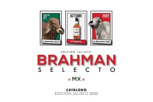 2022 SUBASTA BRAHMAN SELECTO MX