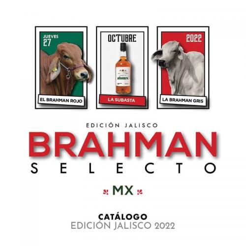 2022 SUBASTA BRAHMAN SELECTO MX
