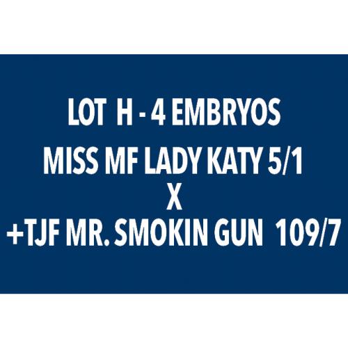 LOT H - 4 EMBRYOS - MISS MF LADY KATY 5/1 X +TJF MR. SMOKIN GUN 109/7