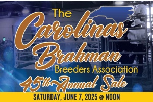 CAROLINA BRAHMAN BREEDERS ASSOC. F1 SALE