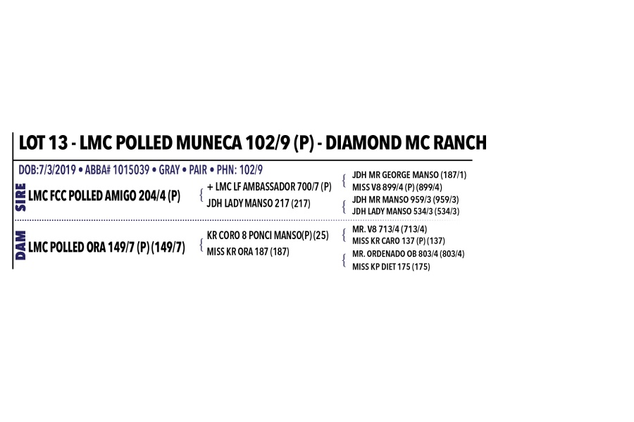 LOT 013 & 013A - LMC POLLED MUNECA 102/9 (P) - DIAMOND MC RANCH