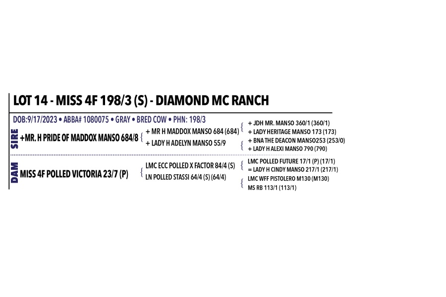 LOT 014 - MISS 4F 198/3 (S) - DIAMOND MC RANCH