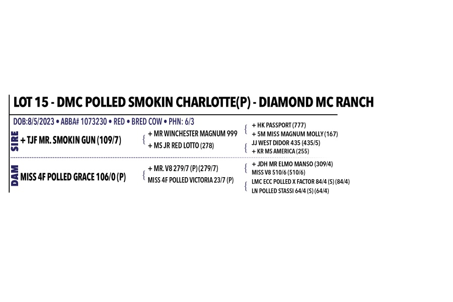 LOT 015 - DMC POLLED SMOKIN CHARLOTTE(P) - DIAMOND MC RANCH