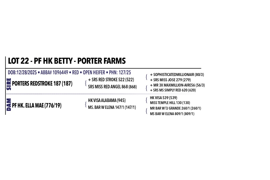 LOT 022 - PF HK BETTY & LOT 023 - PF HK TEMU - PORTER FARMS