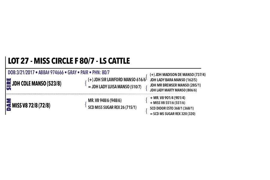 LOT 027 & 027A -MISS CIRCLE F 80/7 - LS CATTLE