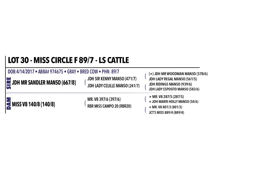 LOT 030 - MISS CIRCLE F 89/7 - LS CATTLE