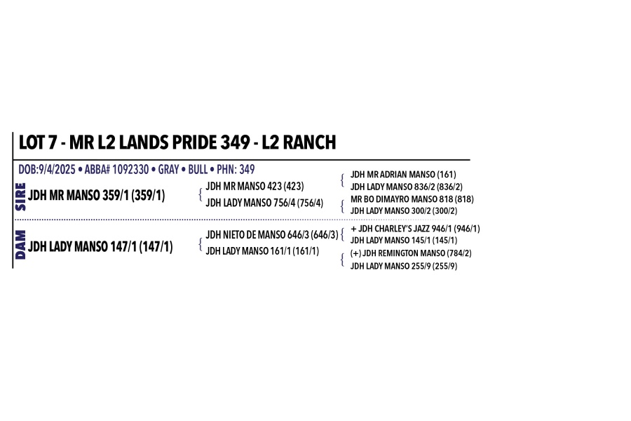 LOT 007 - MR L2 LANDS PRIDE 349 - L2 RANCH