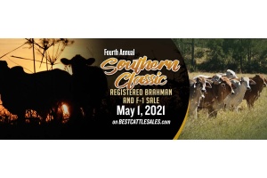 2021 SOUTHERN CLASSIC REGISTERED BRAHMAN AND F-1 SALE