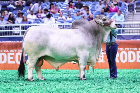 EP SIR RAU'S HANDSHAKE 2 CONVENTIONAL SEMEN PACKAGE  - USA ONLY