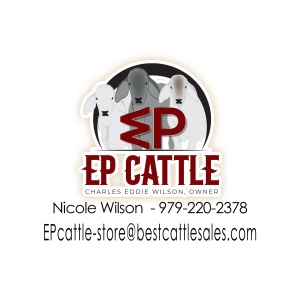 EP CATTLE