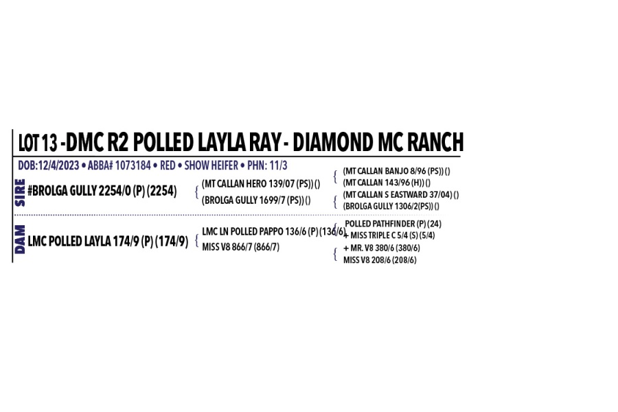 LOT 013 - DMC R2 POLLED LAYLA RAY 11/3