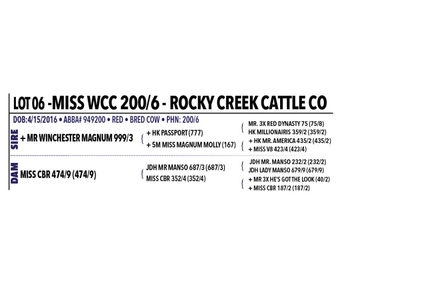 LOT 006 - MISS WCC 200/6