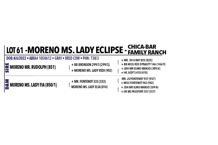 LOT 061 - MORENO MS. LADY ECLIPSE 738/3