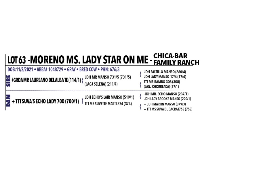 LOT 063, 063A - MORENO MS. LADY STAR ON ME 676/3