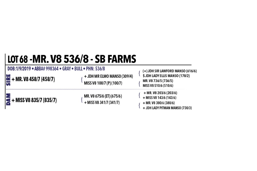 LOT 068 - MR. V8 536/8