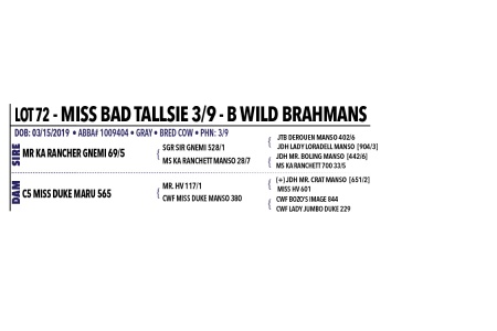LOT 072, 074, 077 - MISS BAD TALLSIE 3/9 - PICK OR X THE MONEY OF LOTS CHOSEN (A)
