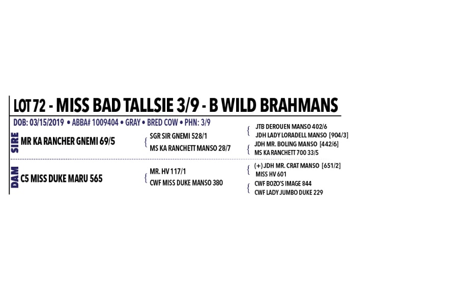 LOT 072, 074, 077 - MISS BAD TALLSIE 3/9 - PICK OR X THE MONEY OF LOTS CHOSEN (A)