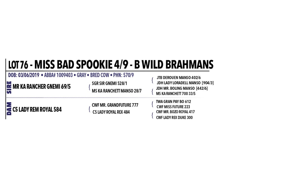 LOT 076, 076A - MISS BAD SPOOKIE 4/9