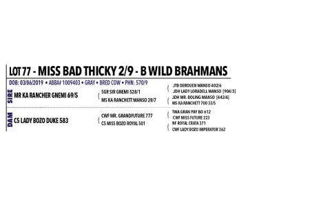 LOT 077, 072, 077 - MISS BAD THICKY 2/9 - PICK OR X THE MONEY OF LOTS CHOSEN (C)