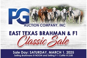 EAST TEXAS BRAHMAN SALE