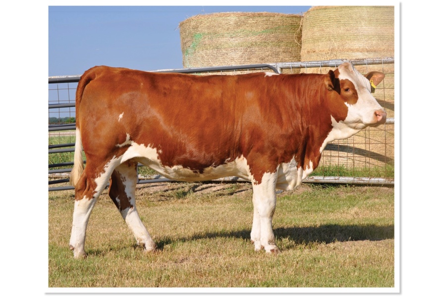 LOT 40 - RTOP MS TRISTON 0518J