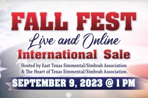 FALL FEST LIVE SALE