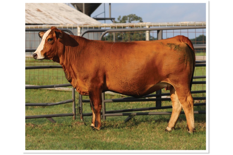 LOT 23 - PRR CHRISTI 358K