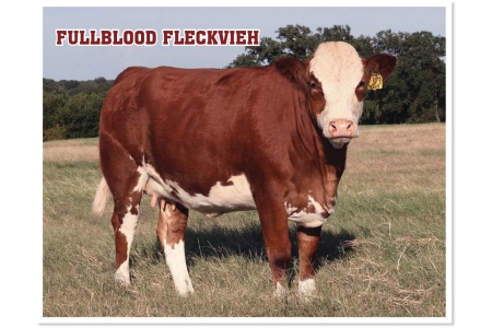 LOT 26 - SOT LEAH L373