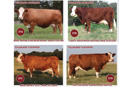 LOT 27 - SOT IVF ASPIRATION - BUYER'S PICK ONE FROM FOUR DONOR OPTIONS