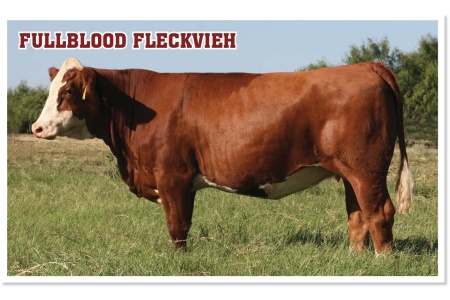 LOT 29 - SOT LUNA K393