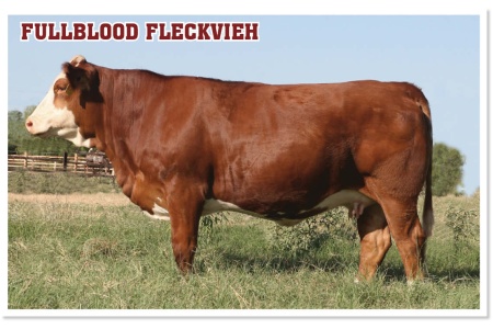 LOT 30 - SOT LAYLA L391