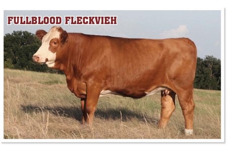 LOT 32 - SOT LAKELYNN L416