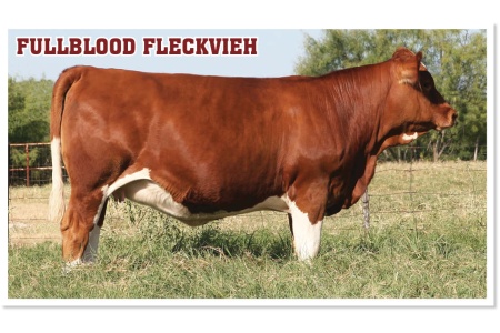 LOT 34 - SOT LIBBY L450