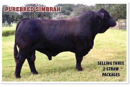 LOT 46C - LMC MT TRANSFORMER 5E/32 - TWO (2) STRAW PACKAGE - FINAL PRICE IS TWO (2) TIMES PRICE BID