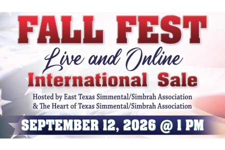 2026 FALL FEST LIVE SALE