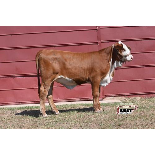 LOT 13 - X MS 4-T MUFFIN 112