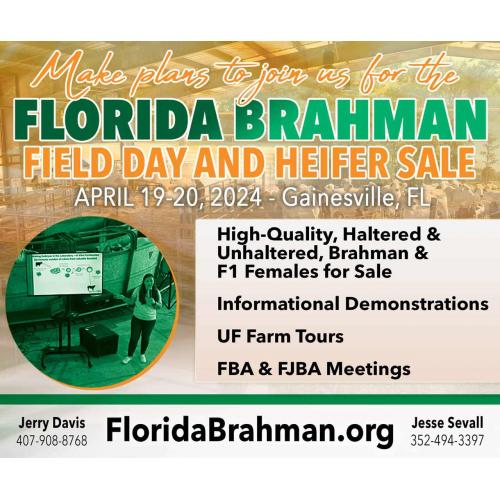 FLORIDA BRAHMAN ASSOCIATION HEIFER SALE