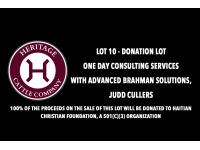 LOT 10 - DONATION LOT  - ONE DAY CONSULTING SERVICES WITH ADVANCED BRAHMAN SOLUTIONS, JUDD CULLERS