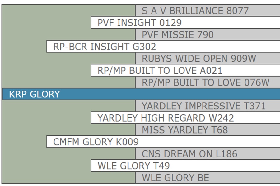 LOT 23 - KRP GLORY