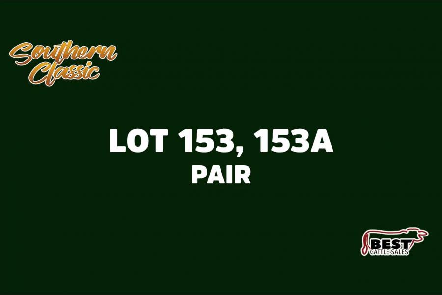LOT 153, 153A - JAY HOOVER