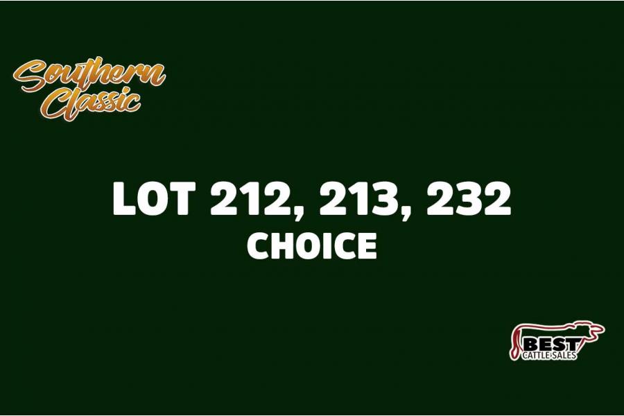 LOT 212, 213, 232 - CLAY ELLISON - CHOICE OR X THE MONEY OF LOTS CHOSEN (C)