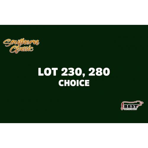 LOT 230, 280 - CLAY ELLISON - CHOICE OR X THE MONEY OF LOTS CHOSEN (A)